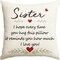 My Sister Hug Throw Pillow Cover, 18 x 18 Inch Christmas Sister's Gift Lady Girls Birthday Cushion Case I Love You So Much from Sister Brother